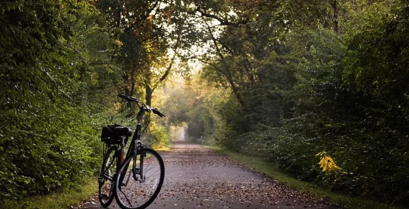 Ek Gıdaya Geçiş Rehberi: İlk Tadımlar, 3 Gün Kuralı ve Yasaklı Gıdalar Listesi