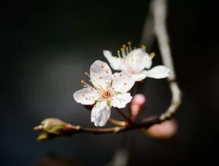 Güncel Bebek Aşı Takvimi ve Aşı Sonrası Bakım Rehberi: Bebeğinizi Neler Bekliyor?